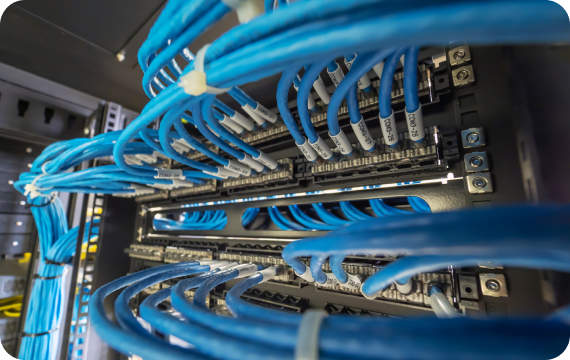 Structured blue network cabling connected to switches